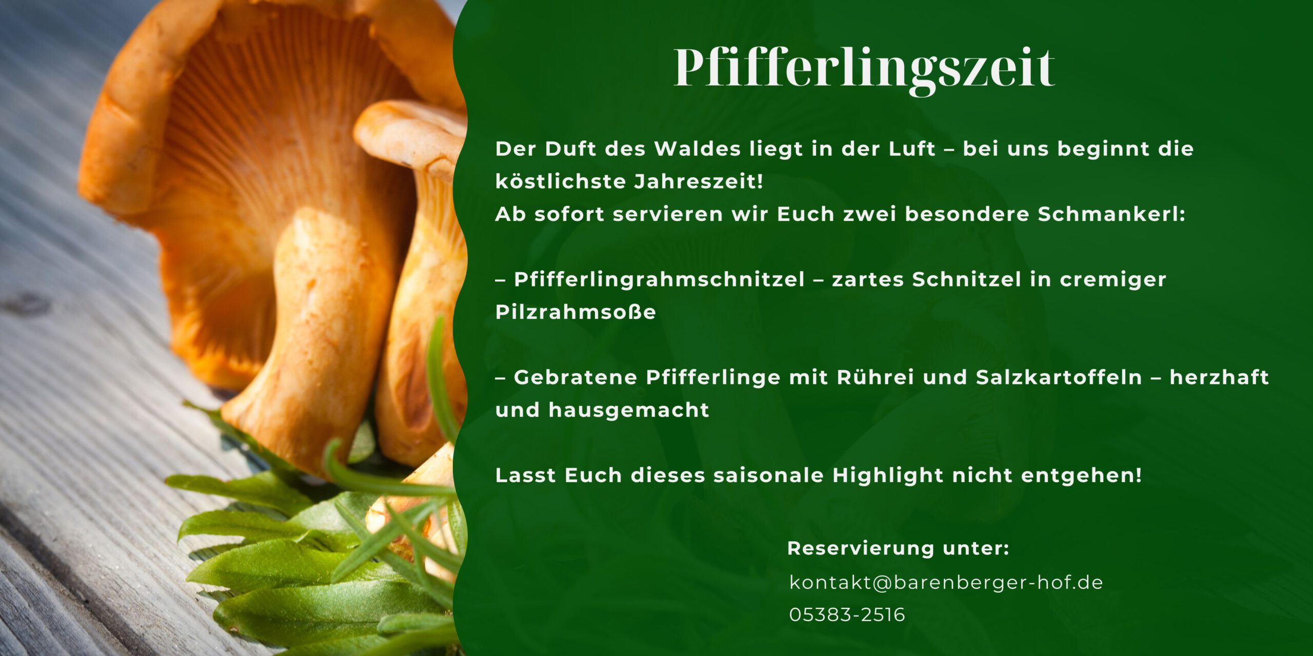 Barenberger Hof - Pfifferlingszeit desktop