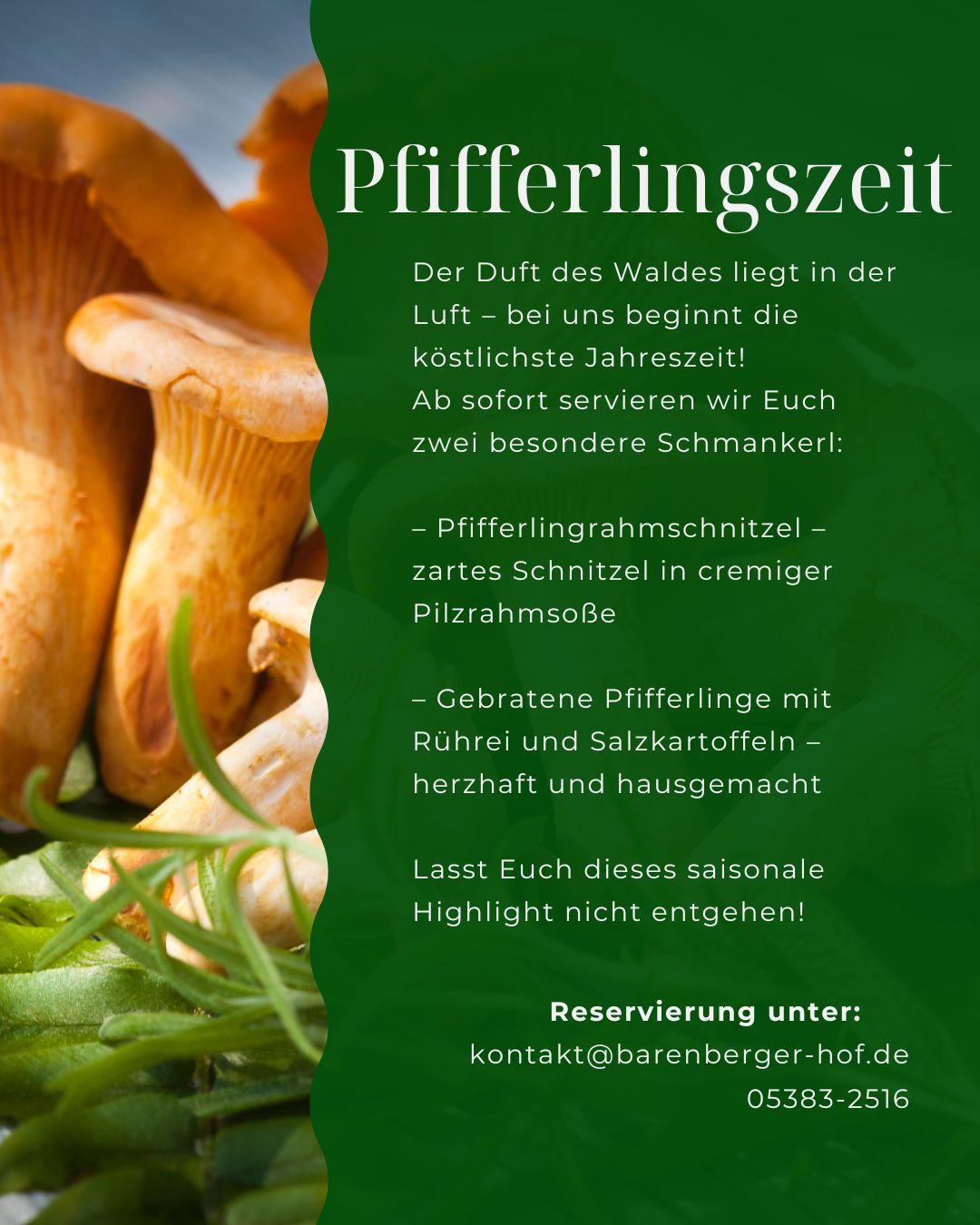 Barenberger Hof - Pfifferlingszeit